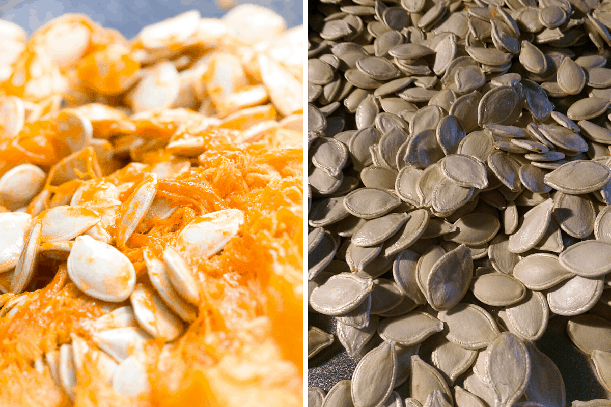 pumpkin seeds with shell on